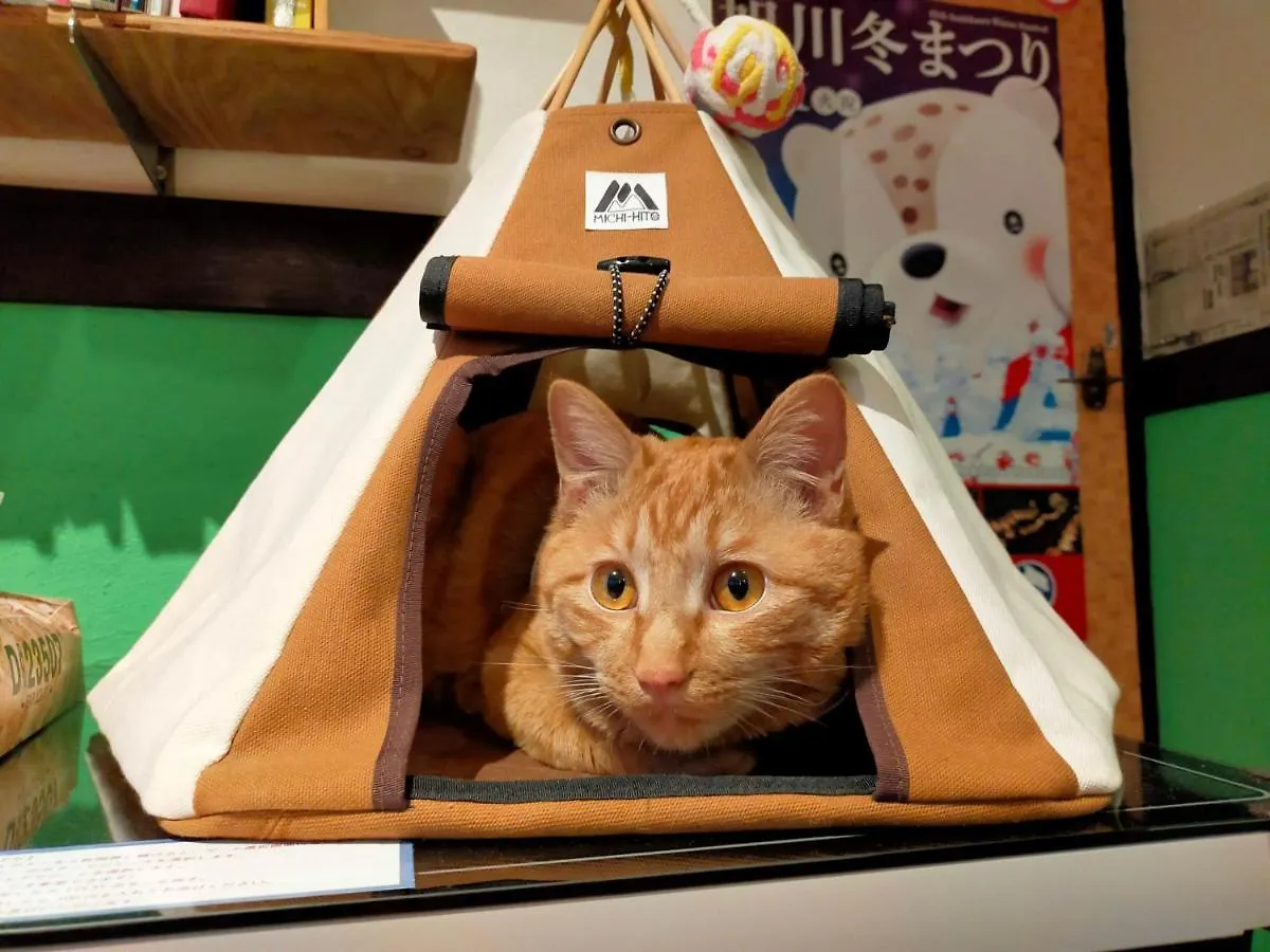招待所 旭川莱德旅馆酒店